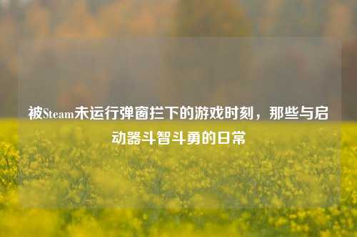 被Steam未运行弹窗拦下的游戏时刻,那些与启动器斗智斗勇的日常