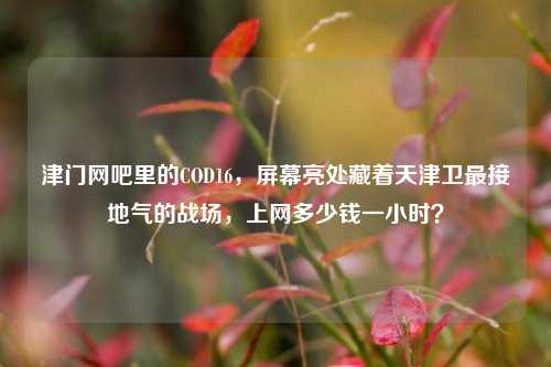 津门网吧里的COD16,屏幕亮处藏着天津卫最接地气的战场,上网多少钱一小时?