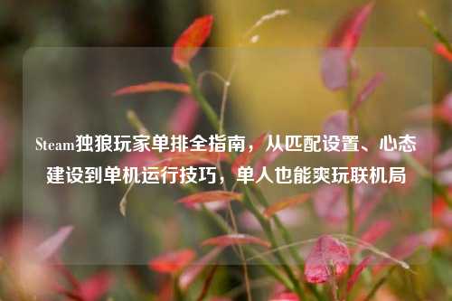 Steam独狼玩家单排全指南，从匹配设置、心态建设到单机运行技巧，单人也能爽玩联机局