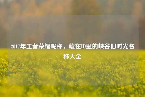 2017年王者荣耀昵称，藏在ID里的峡谷旧时光名称大全