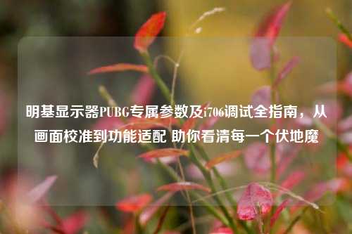 明基显示器PUBG专属参数及i706调试全指南，从画面校准到功能适配 助你看清每一个伏地魔