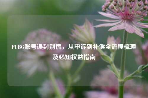PUBG账号误封别慌,从申诉到补偿全流程梳理及必知权益指南