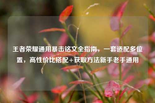 王者荣耀通用暴击铭文全指南,一套适配多位置,高性价比搭配+获取方法新手老手通用