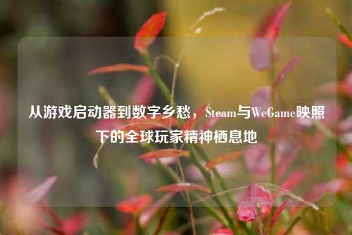 从游戏启动器到数字乡愁，Steam与WeGame映照下的全球玩家精神栖息地