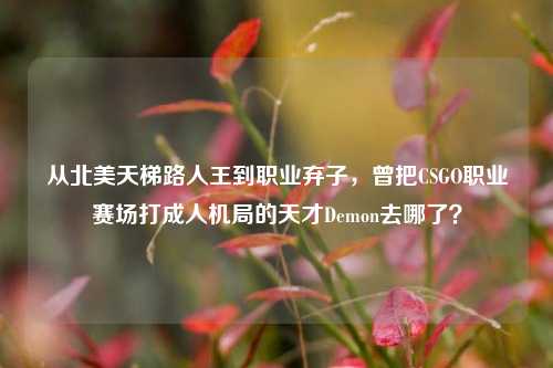 从北美天梯路人王到职业弃子，曾把CSGO职业赛场打成人机局的天才Demon去哪了？