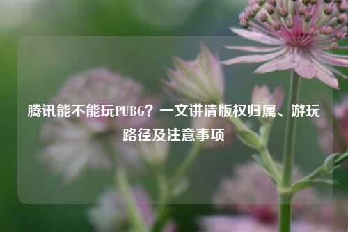 腾讯能不能玩PUBG？一文讲清版权归属、游玩路径及注意事项