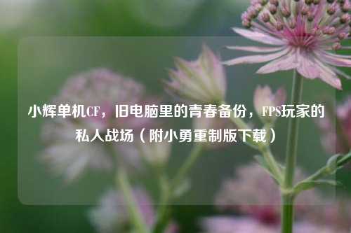小辉单机CF，旧电脑里的青春备份，FPS玩家的私人战场（附小勇重制版下载）