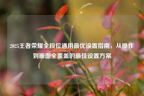 2025王者荣耀全段位通用最优设置指南，从操作到画面全覆盖的最佳设置方案