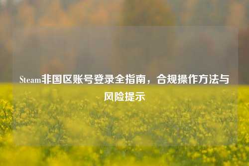 Steam非国区账号登录全指南，合规操作方法与风险提示