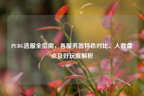PUBG选服全指南，各服务器特色对比、人数盘点及好玩度解析