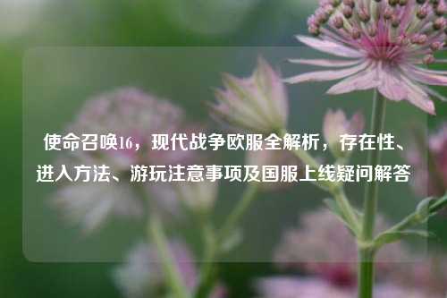 使命召唤16,现代战争欧服全解析,存在性、进入方法、游玩注意事项及国服上线疑问解答