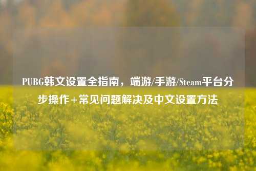 PUBG韩文设置全指南，端游/手游/Steam平台分步操作+常见问题解决及中文设置方法