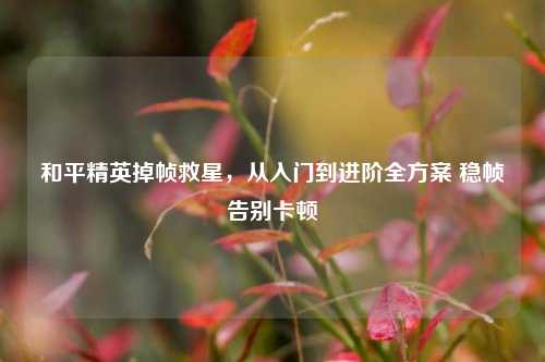 和平精英掉帧救星，从入门到进阶全方案 稳帧告别卡顿
