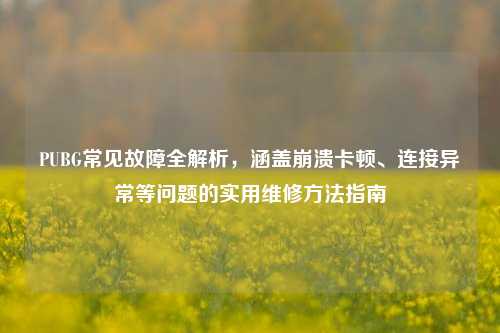 PUBG常见故障全解析,涵盖崩溃卡顿、连接异常等问题的实用维修方法指南