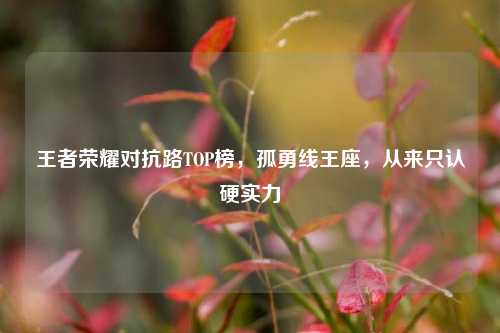 王者荣耀对抗路TOP榜,孤勇线王座,从来只认硬实力