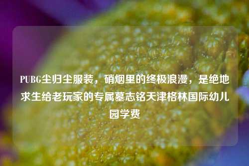 PUBG尘归尘服装,硝烟里的终极浪漫,是绝地求生给老玩家的专属墓志铭天津格林国际幼儿园学费