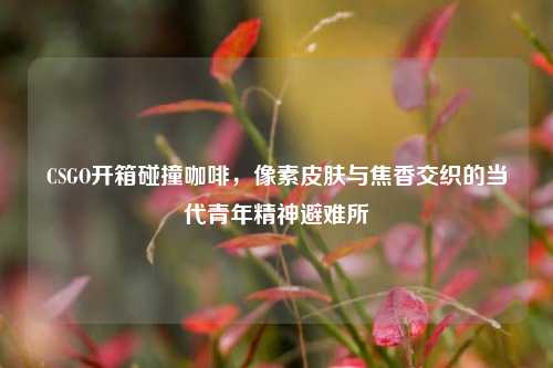 CSGO开箱碰撞咖啡,像素皮肤与焦香交织的当代青年精神避难所