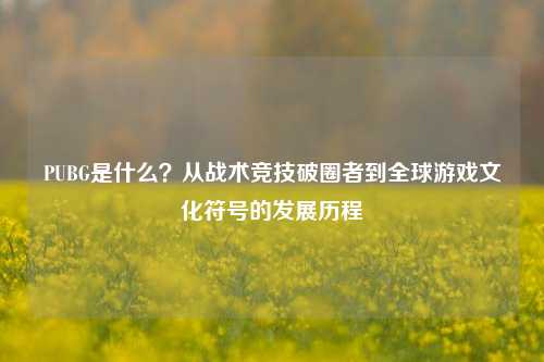 PUBG是什么?从战术竞技破圈者到全球游戏文化符号的发展历程