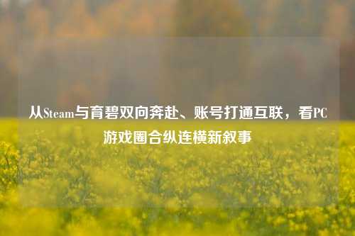 从Steam与育碧双向奔赴、账号打通互联,看PC游戏圈合纵连横新叙事