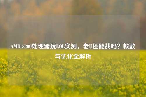 AMD 5200处理器玩LOL实测，老U还能战吗？帧数与优化全解析