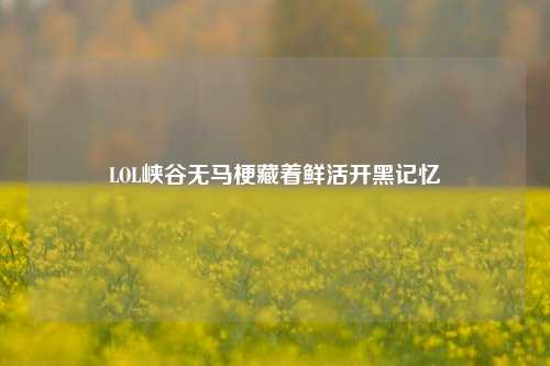 LOL峡谷无马梗藏着鲜活开黑记忆