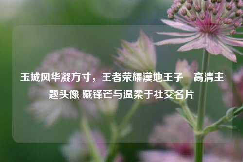 玉城风华凝方寸，王者荣耀漠地王子暃高清主题头像 藏锋芒与温柔于社交名片