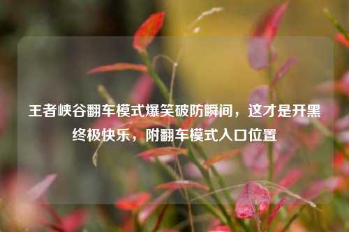 王者峡谷翻车模式爆笑破防瞬间,这才是开黑终极快乐,附翻车模式入口位置