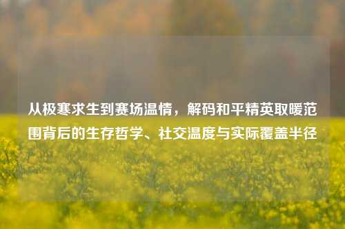 从极寒求生到赛场温情,解码和平精英取暖范围背后的生存哲学、社交温度与实际覆盖半径