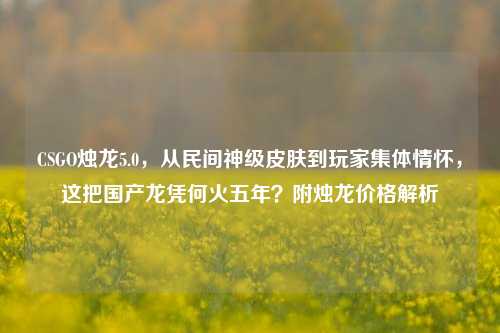 CSGO烛龙5.0，从民间神级皮肤到玩家集体情怀，这把国产龙凭何火五年？附烛龙价格解析