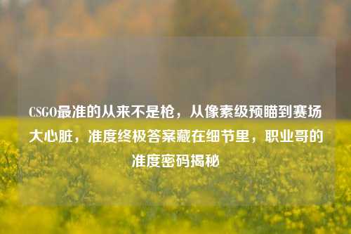 CSGO最准的从来不是枪,从像素级预瞄到赛场大心脏,准度终极答案藏在细节里,职业哥的准度密码揭秘