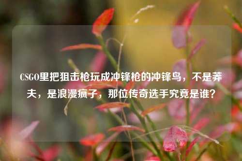 CSGO里把狙击枪玩成冲锋枪的冲锋鸟,不是莽夫,是浪漫疯子,那位传奇选手究竟是谁?