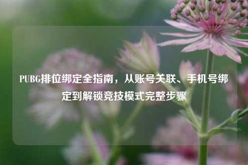 PUBG排位绑定全指南,从账号关联、手机号绑定到解锁竞技模式完整步骤