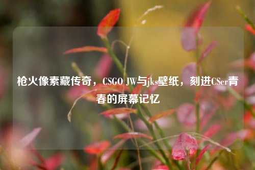 枪火像素藏传奇，CSGO JW与jks壁纸，刻进CSer青春的屏幕记忆