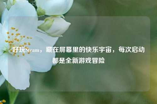 好玩Steam，藏在屏幕里的快乐宇宙，每次启动都是全新游戏冒险