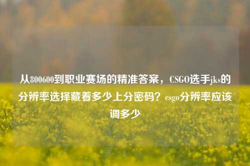 从800600到职业赛场的精准答案，CSGO选手jks的分辨率选择藏着多少上分密码？csgo分辨率应该调多少