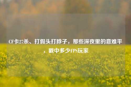 CF卡27杀、打假头打脖子,那些深夜里的意难平,戳中多少FPS玩家