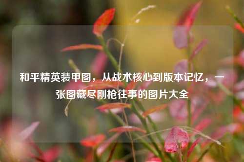 和平精英装甲图，从战术核心到版本记忆，一张图藏尽刚枪往事的图片大全