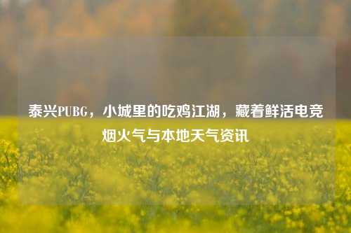 泰兴PUBG，小城里的吃鸡江湖，藏着鲜活电竞烟火气与本地天气资讯