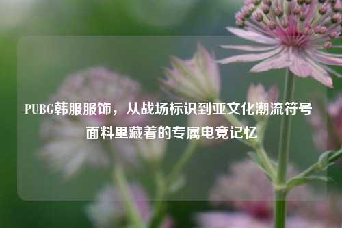 PUBG韩服服饰，从战场标识到亚文化潮流符号 面料里藏着的专属电竞记忆