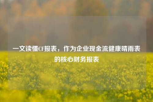一文读懂CF报表，作为企业现金流健康晴雨表的核心财务报表