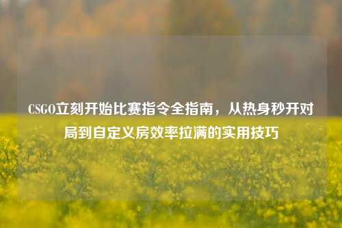 CSGO立刻开始比赛指令全指南,从热身秒开对局到自定义房效率拉满的实用技巧