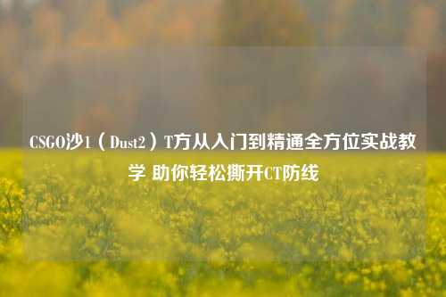 CSGO沙1（Dust2）T方从入门到精通全方位实战教学 助你轻松撕开CT防线