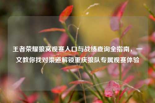 王者荣耀狼窝观赛入口与战绩查询全指南，一文教你找对渠道解锁重庆狼队专属观赛体验
