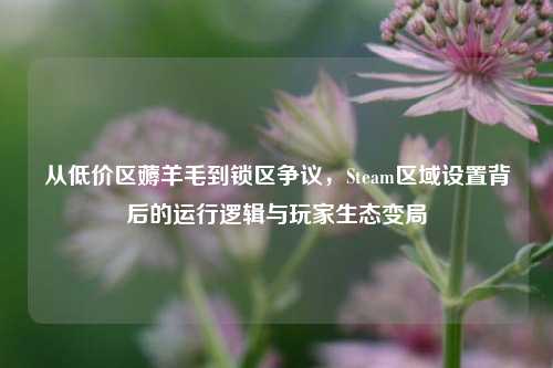 从低价区薅羊毛到锁区争议，Steam区域设置背后的运行逻辑与玩家生态变局