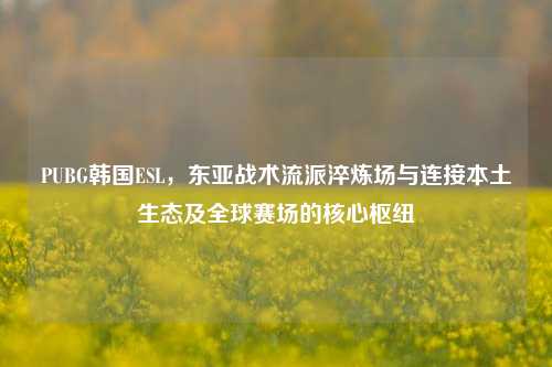PUBG韩国ESL,东亚战术流派淬炼场与连接本土生态及全球赛场的核心枢纽