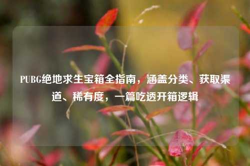 PUBG绝地求生宝箱全指南,涵盖分类、获取渠道、稀有度,一篇吃透开箱逻辑