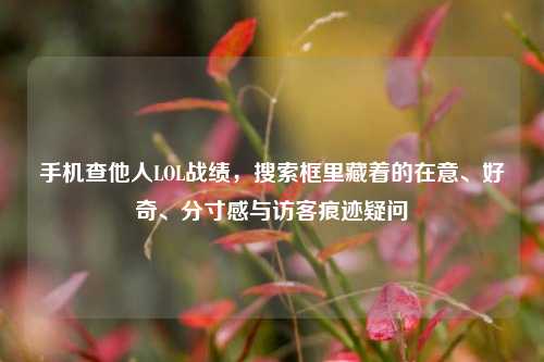 手机查他人LOL战绩,搜索框里藏着的在意、好奇、分寸感与访客痕迹疑问