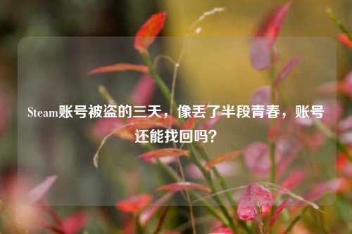 Steam账号被盗的三天，像丢了半段青春，账号还能找回吗？