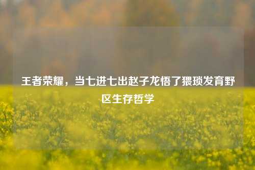 王者荣耀，当七进七出赵子龙悟了猥琐发育野区生存哲学