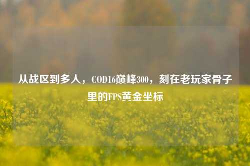 从战区到多人,COD16巅峰300,刻在老玩家骨子里的FPS黄金坐标